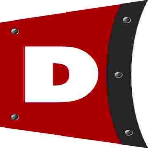 DENALI Snow Plow Cable