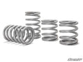 Polaris RZR Turbo S Tender Springs – fits Polaris RZR XP 4 Turbo S