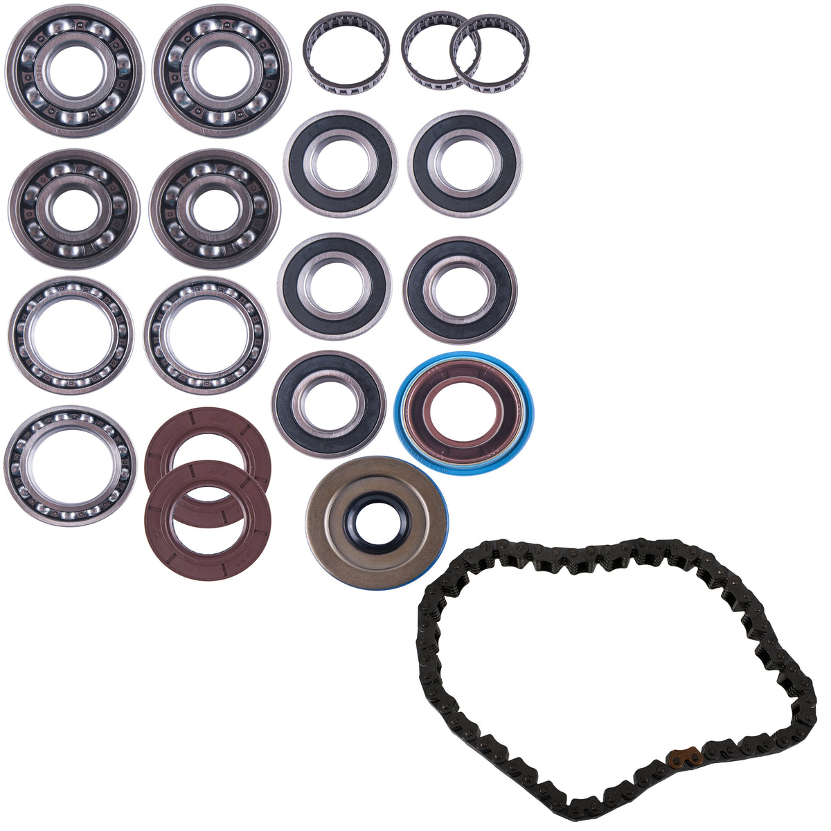 Polaris RZR 1000 XP / 900 Trail rear transmission bearing seal & chain kit
